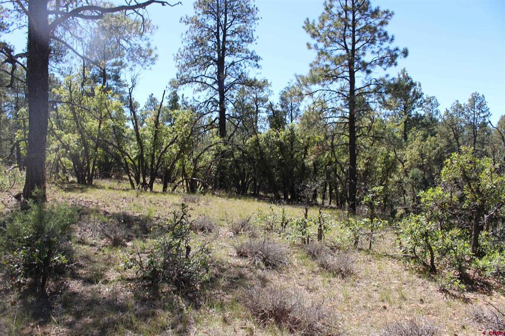 1260 Crooked Road Property Photo 19