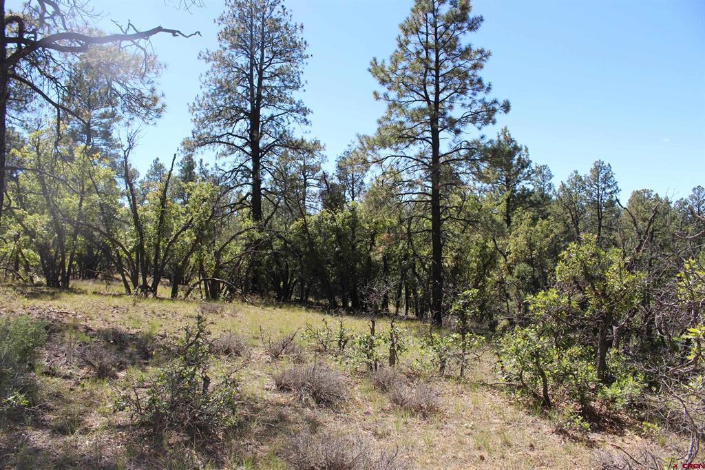 1260 Crooked Road Property Photo 20