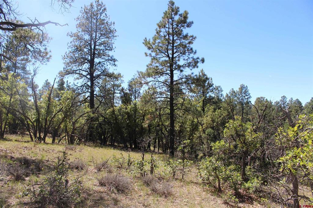 1260 Crooked Road Property Photo 21