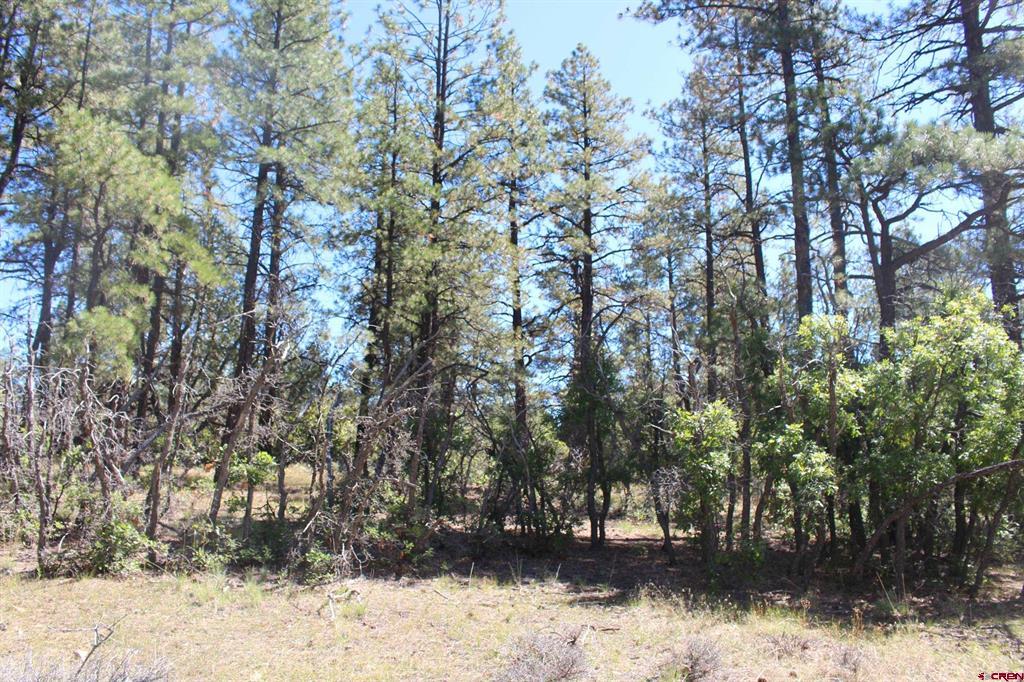 1260 Crooked Road Property Photo 22