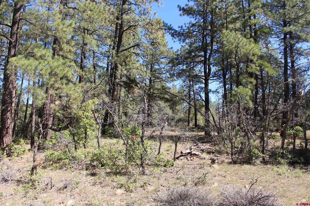 1260 Crooked Road Property Photo 23