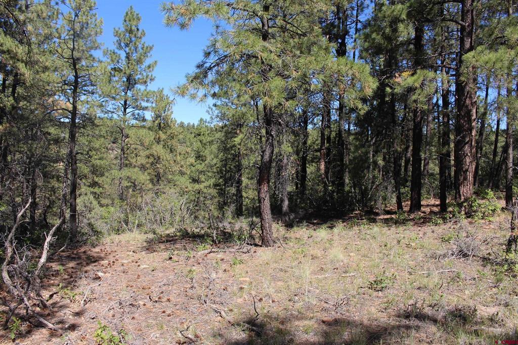 1260 Crooked Road Property Photo 24