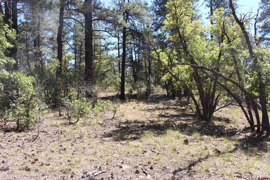1260 Crooked Road Property Photo 25