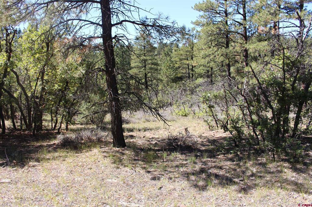 1260 Crooked Road Property Photo 26