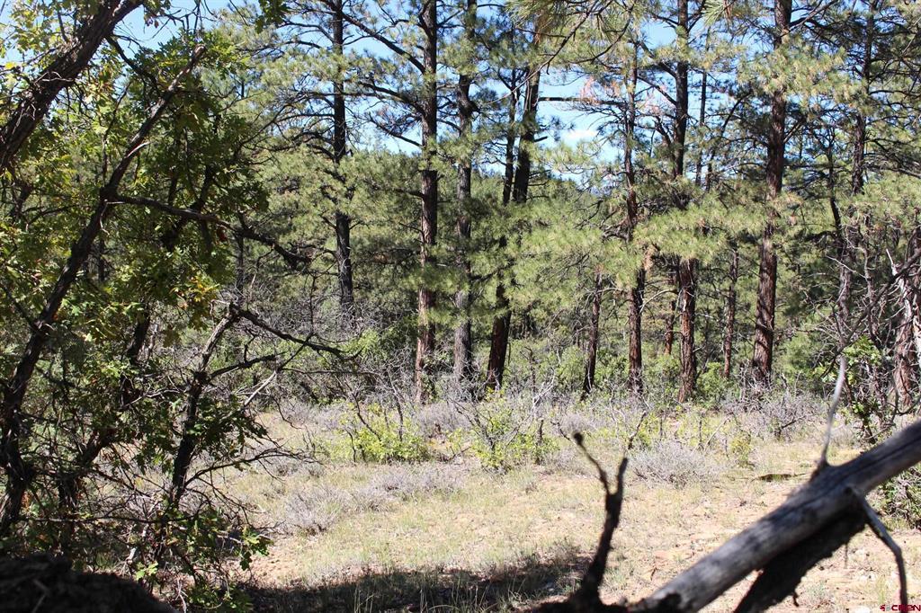 1260 Crooked Road Property Photo 27