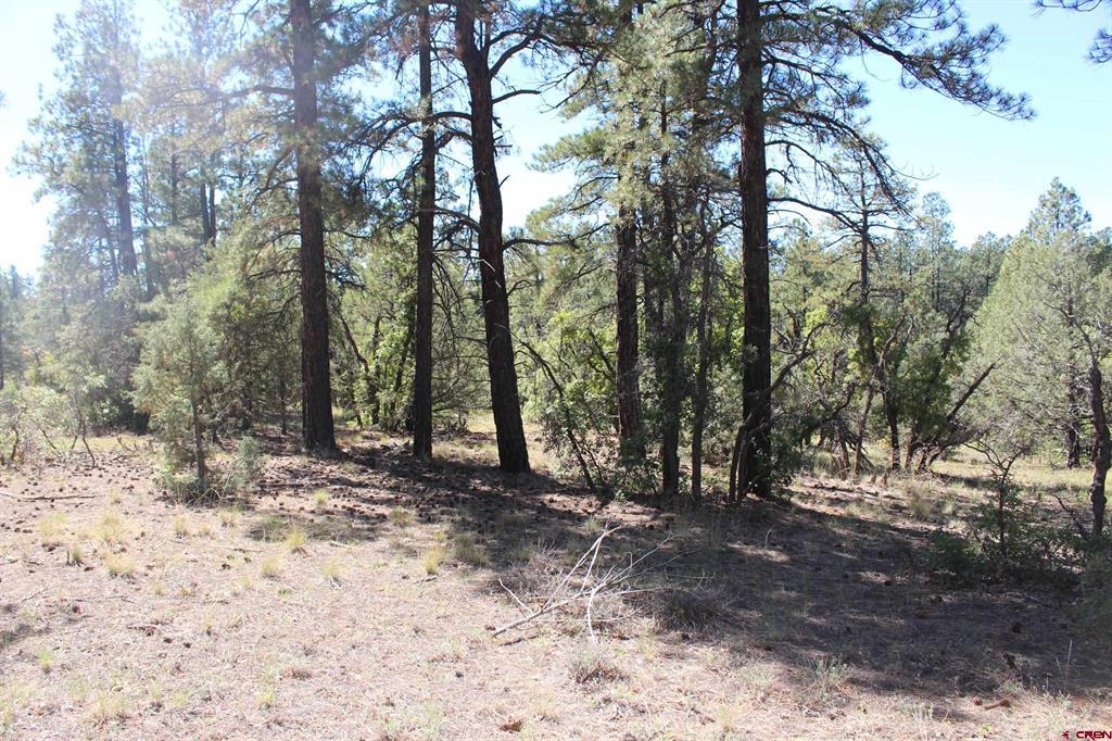 1260 Crooked Road Property Photo 28