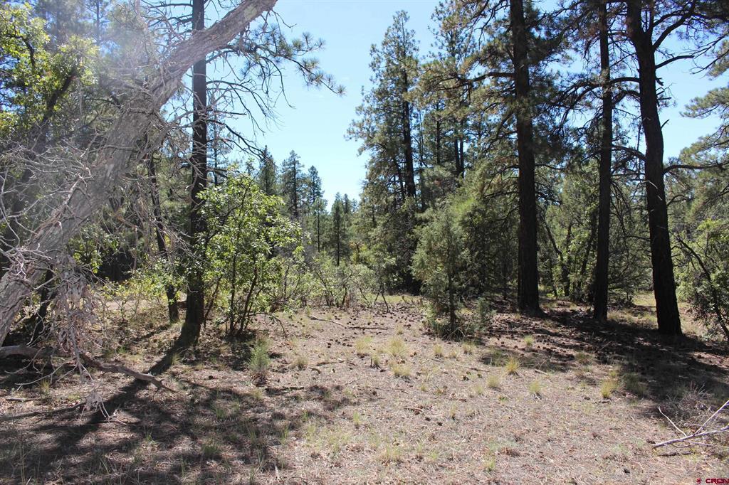1260 Crooked Road Property Photo 29