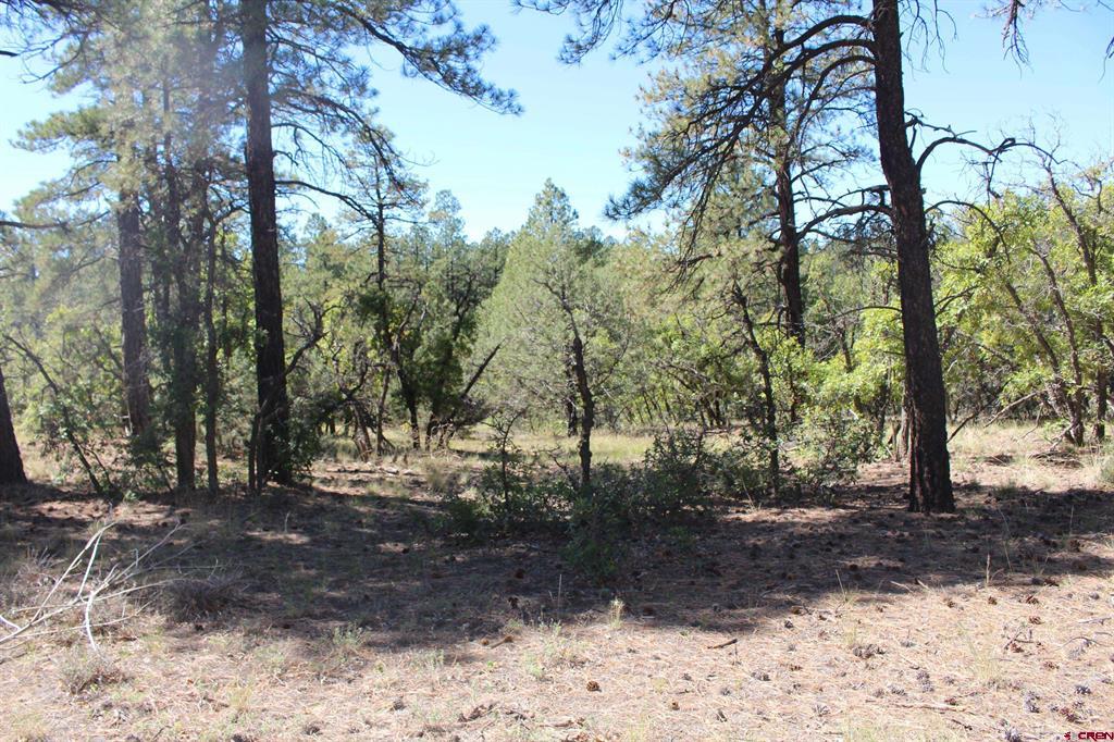 1260 Crooked Road Property Photo 30