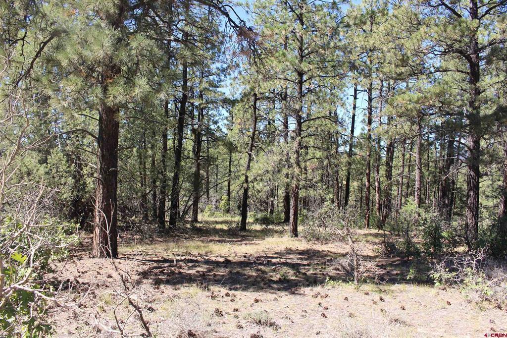 1260 Crooked Road Property Photo 31