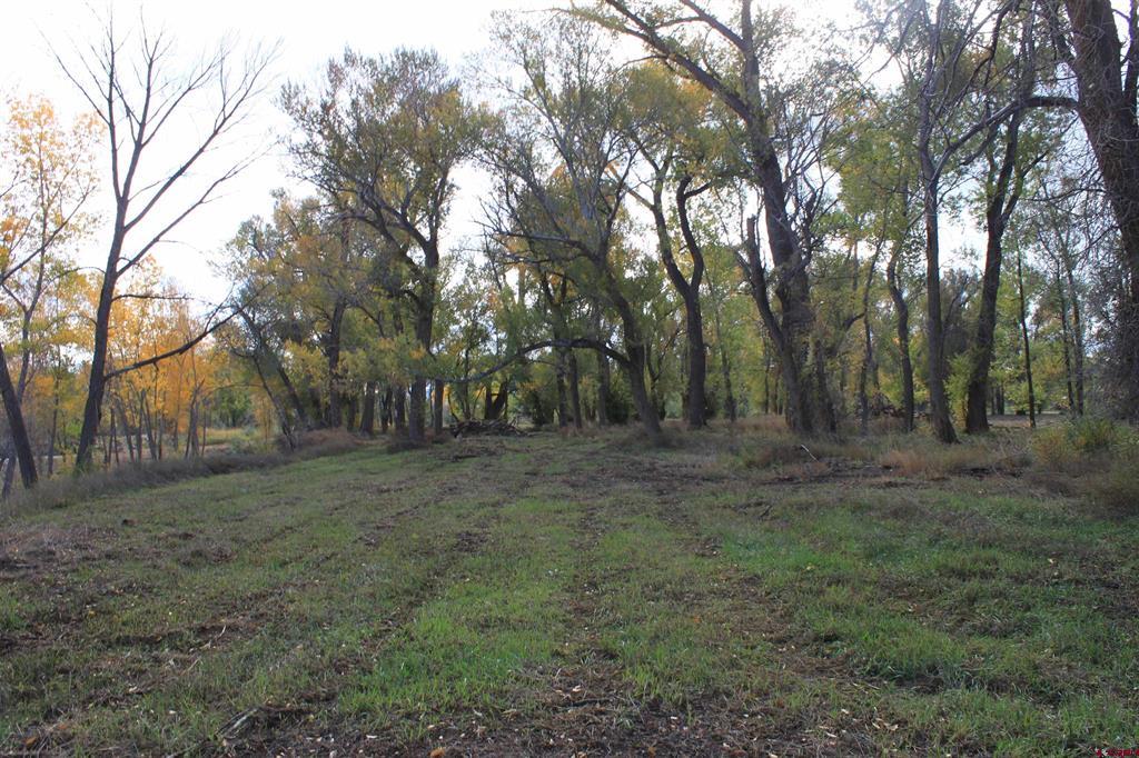 Tbd 6360 Road Property Photo 4