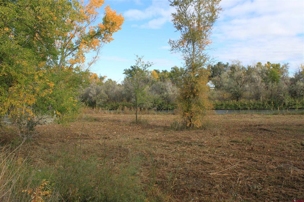 Tbd 6360 Road Property Photo 6