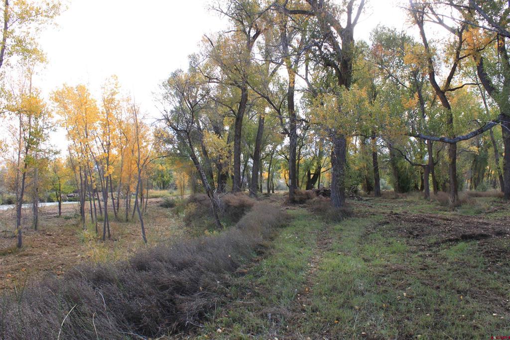 Tbd 6360 Road Property Photo 7