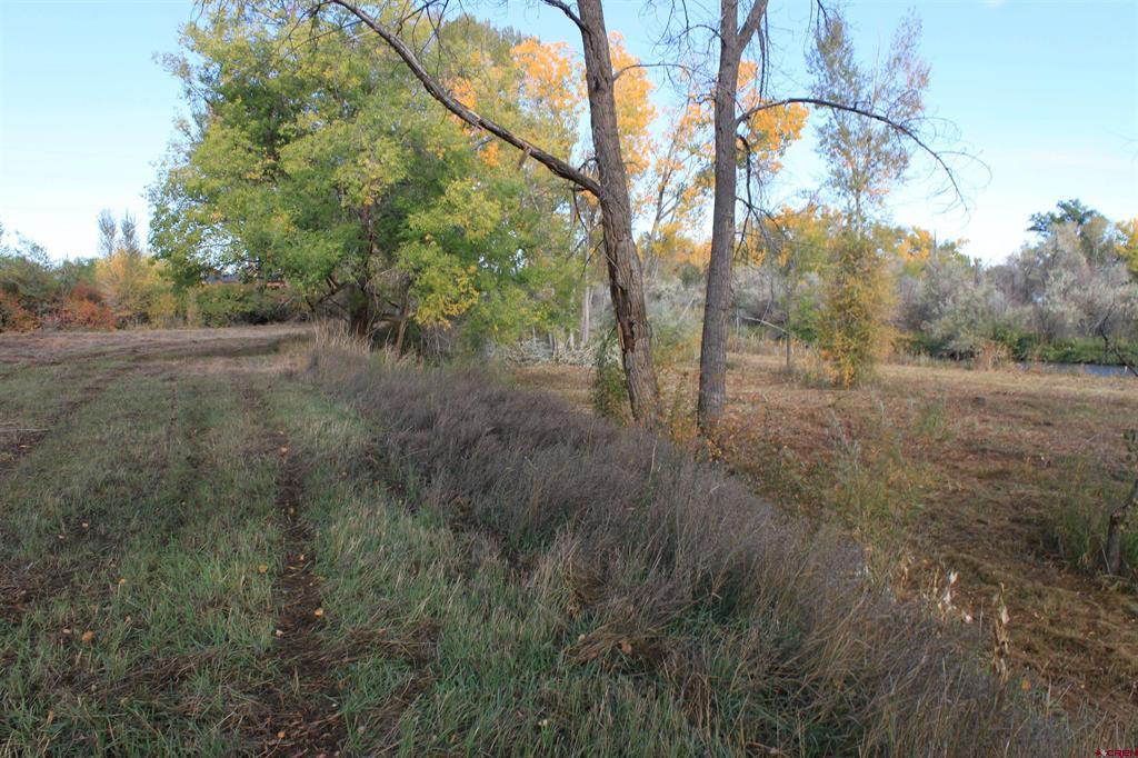 Tbd 6360 Road Property Photo 8