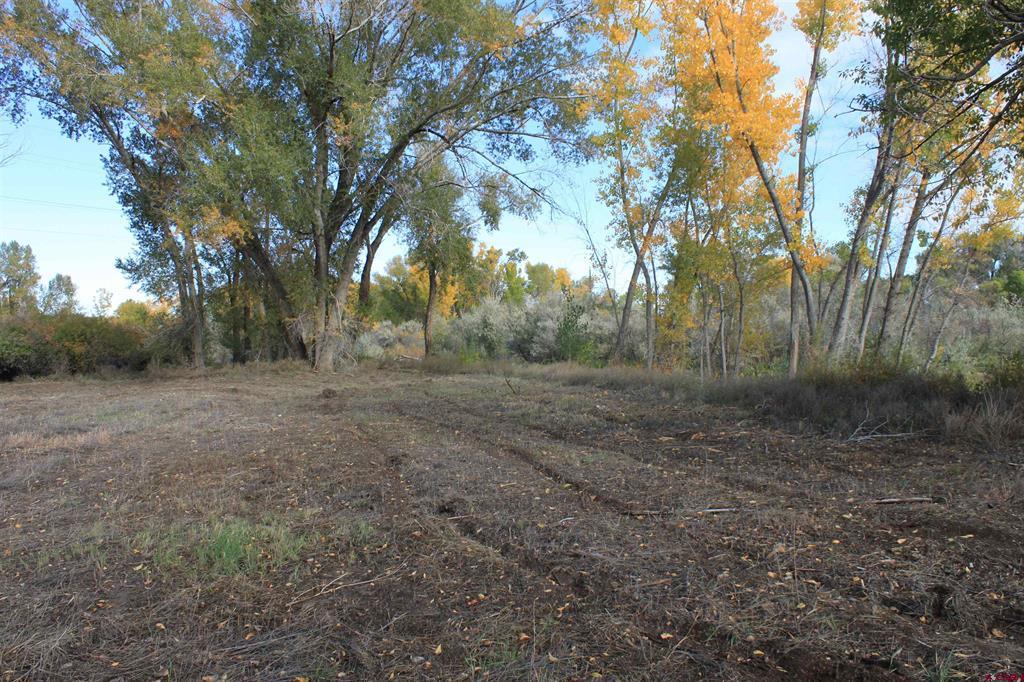 Tbd 6360 Road Property Photo 9