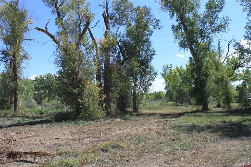Tbd 6360 Road Property Photo 12