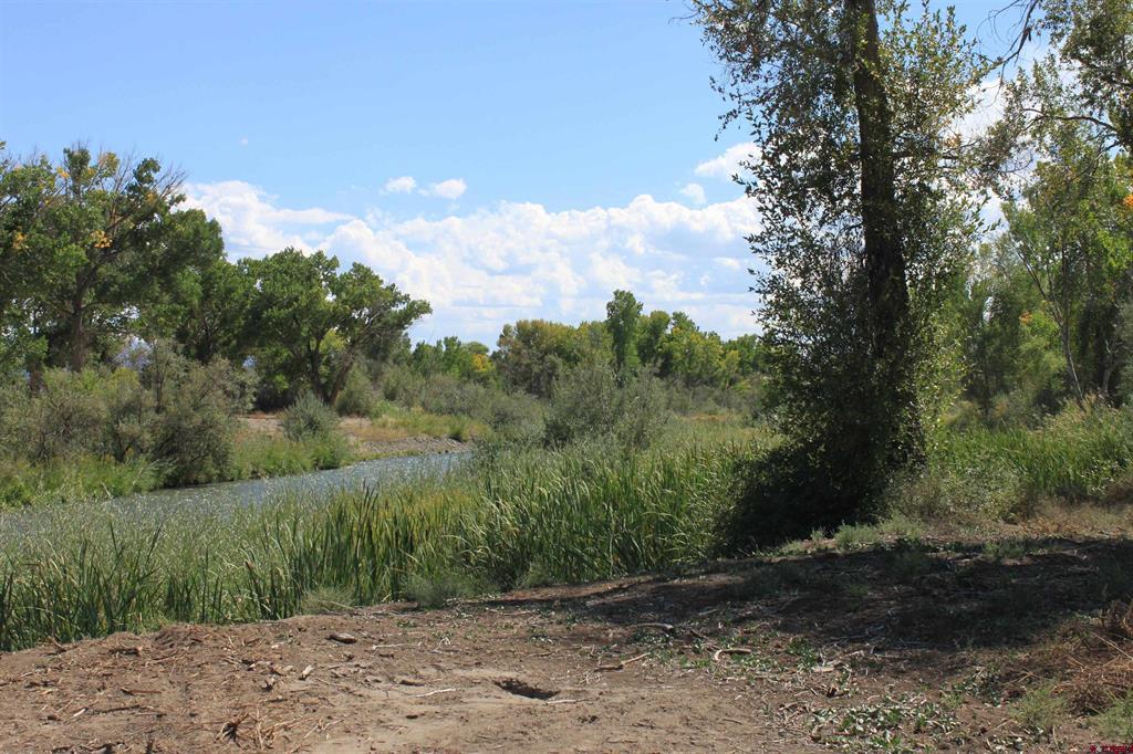 Tbd 6360 Road Property Photo 14