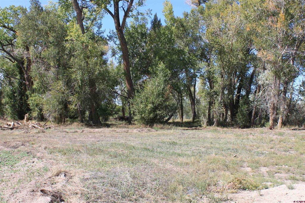 Tbd 6360 Road Property Photo 15