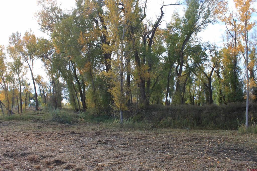 Tbd Lot 2 6360 Road Property Photo 6