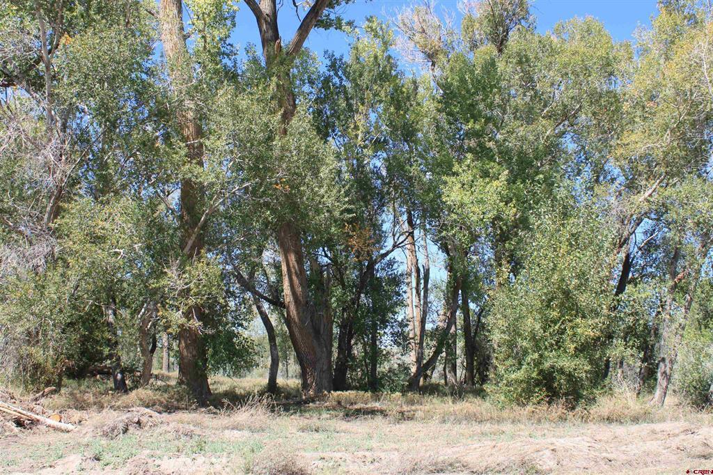 Tbd Lot 2 6360 Road Property Photo 7