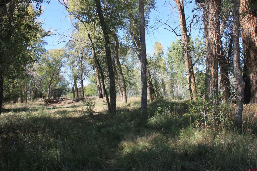 Tbd Lot 2 6360 Road Property Photo 8