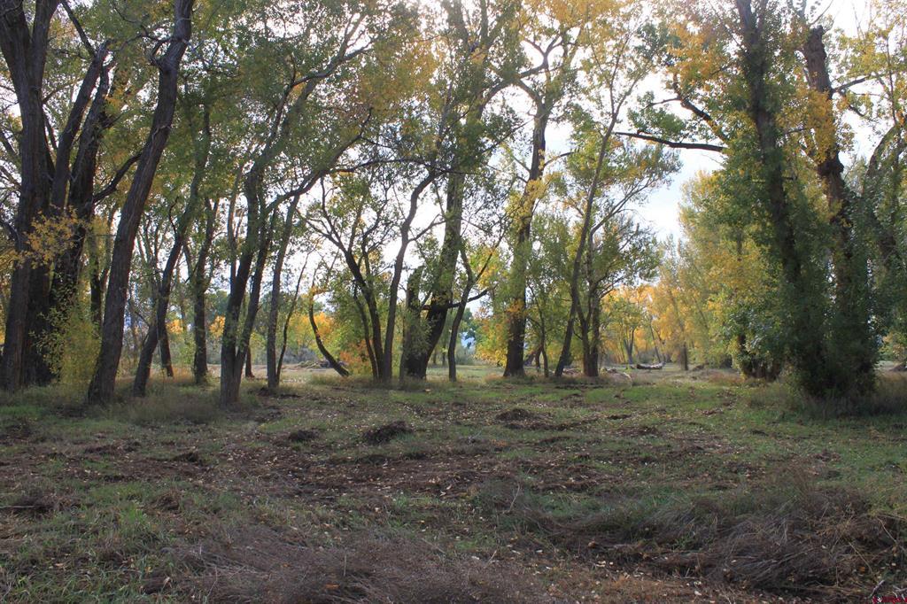 Tbd Lot 2 6360 Road Property Photo 18