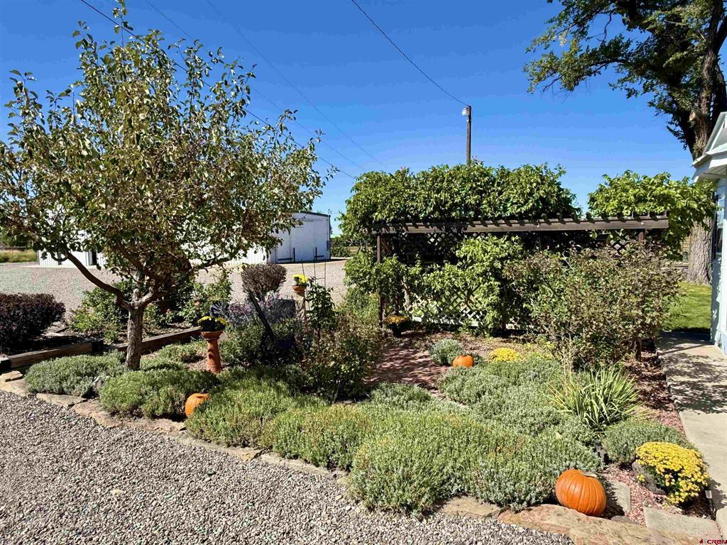 21475 Highway 550 Property Photo 44