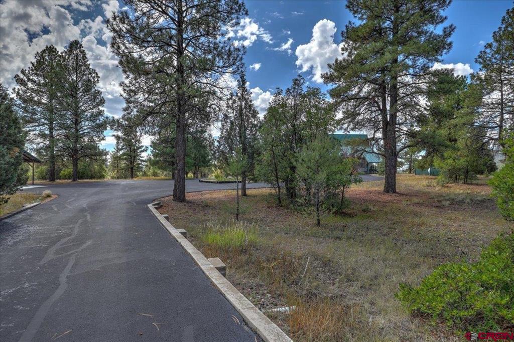 2913 Meadows Drive Property Photo 42