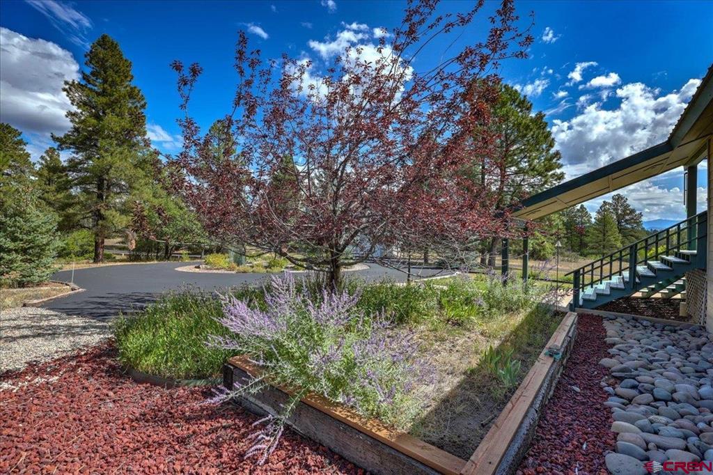 2913 Meadows Drive Property Photo 45