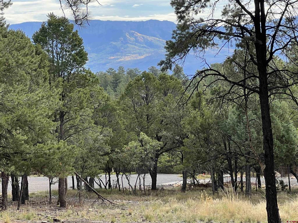 62 (lot 241) Gopher Court Property Photo 8