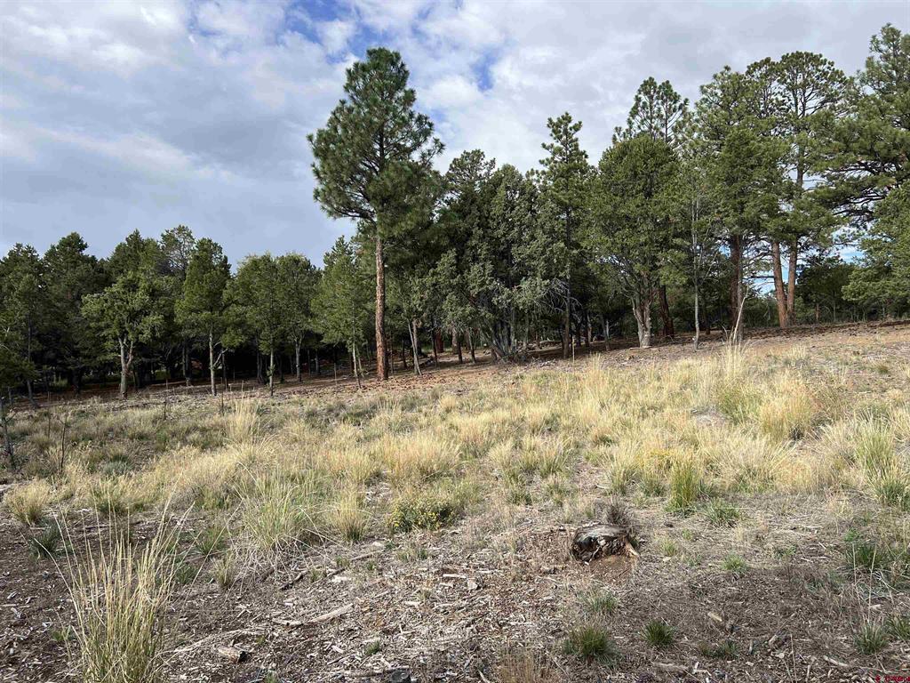 62 (lot 241) Gopher Court Property Photo 10