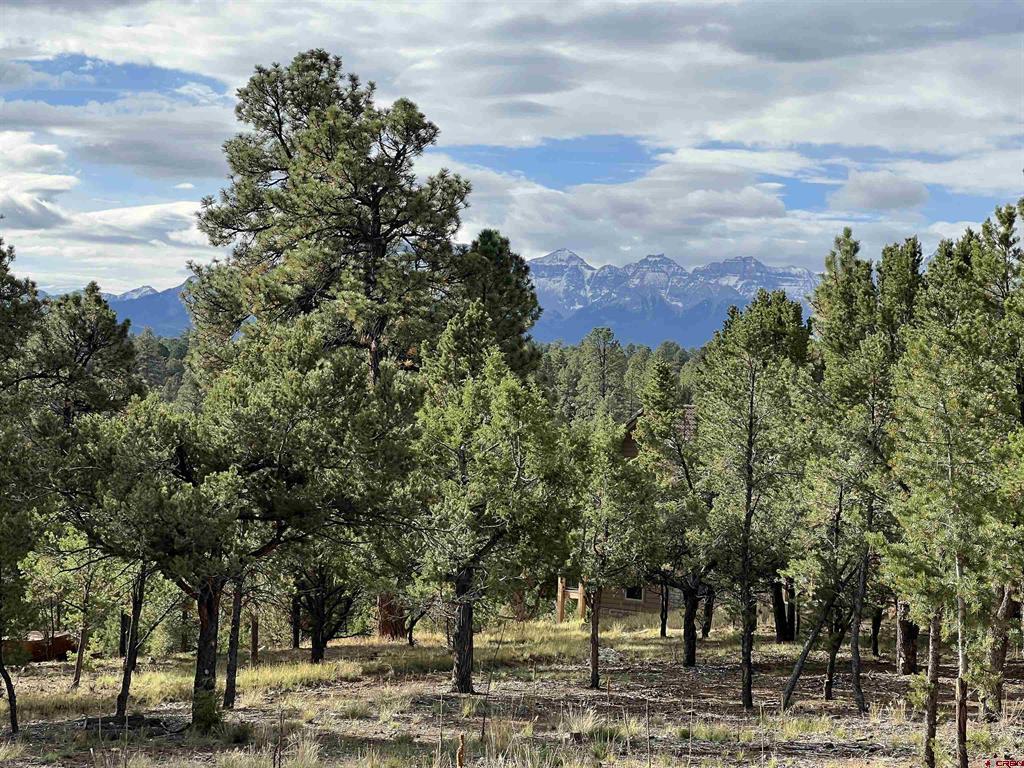 62 (lot 241) Gopher Court Property Photo 11