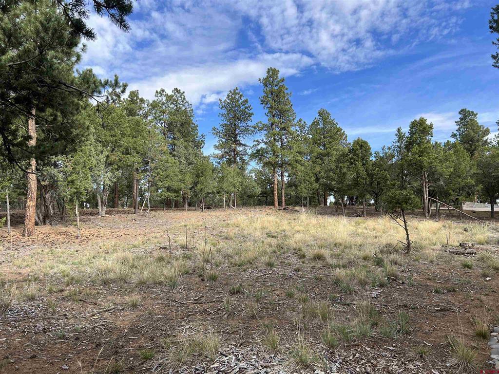 62 (lot 241) Gopher Court Property Photo 12