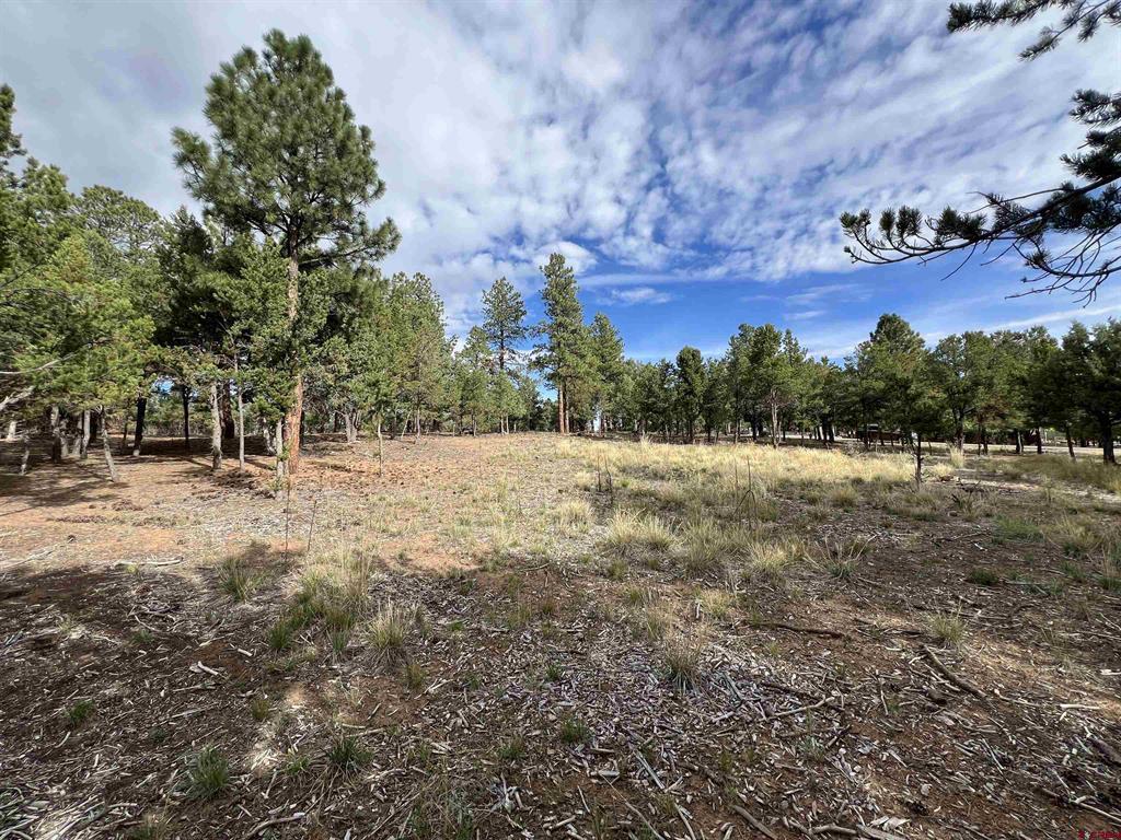 62 (lot 241) Gopher Court Property Photo 13