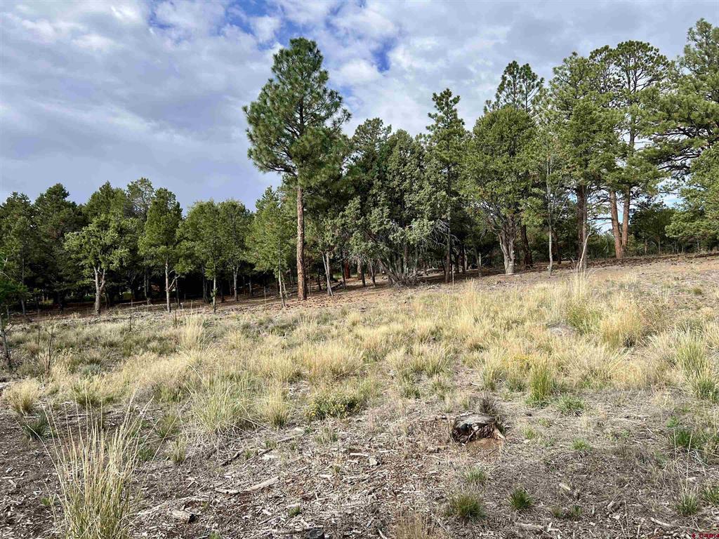 62 (lot 241) Gopher Court Property Photo 15