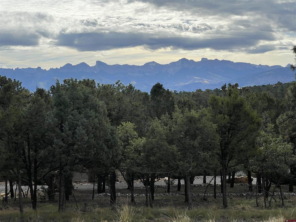 62 (lot 241) Gopher Court Property Photo 18