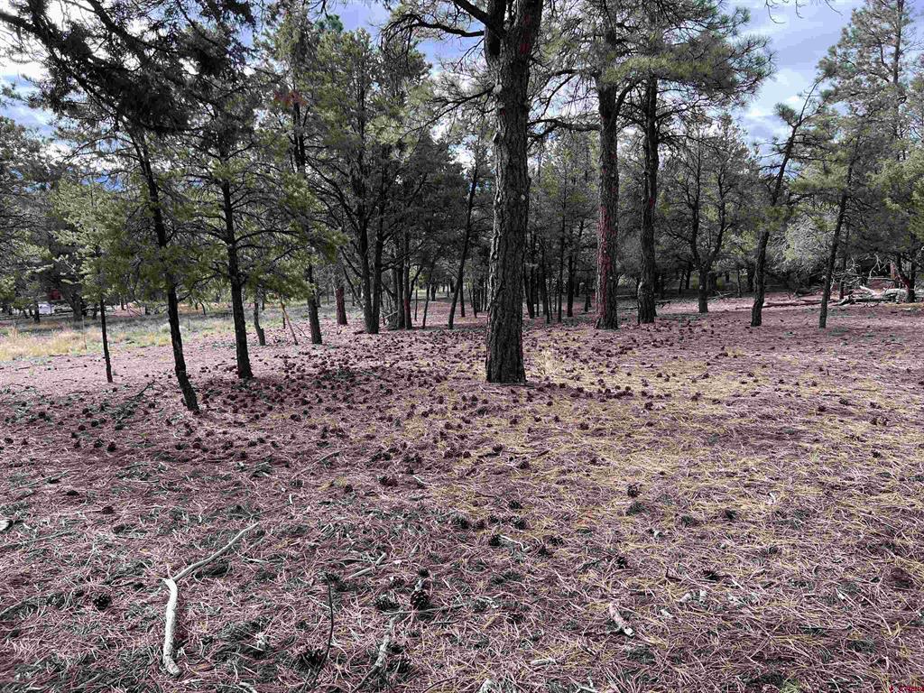 62 (lot 241) Gopher Court Property Photo 22