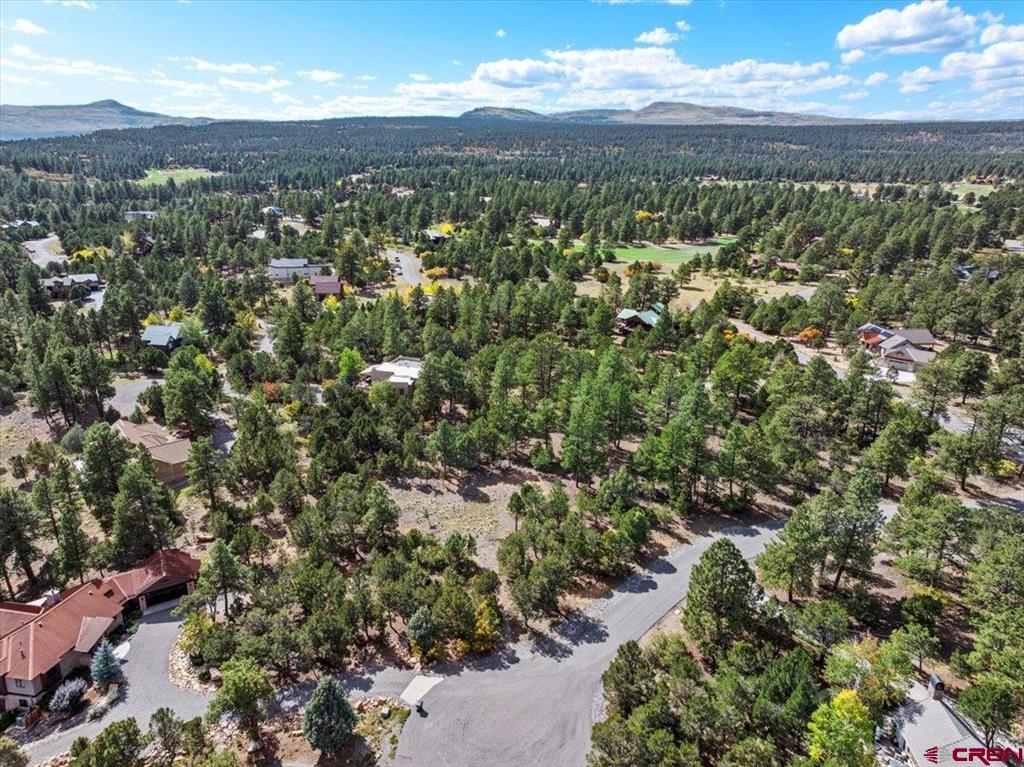 62 (lot 241) Gopher Court Property Photo 26