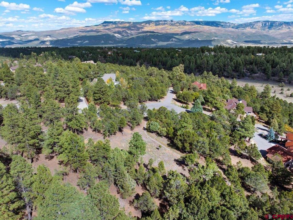 62 (lot 241) Gopher Court Property Photo 30
