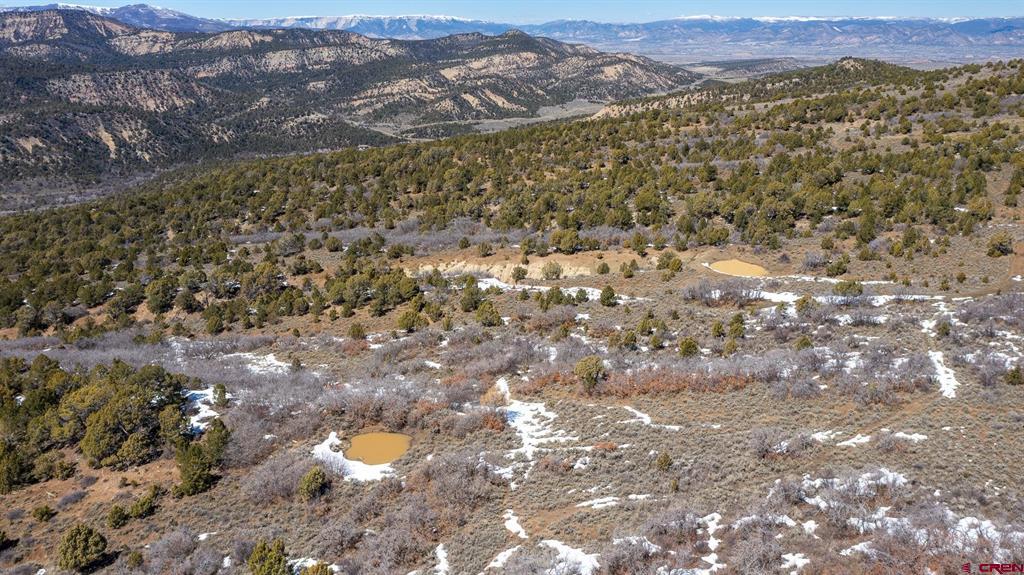 Tbd Cr 342 Property Photo 16