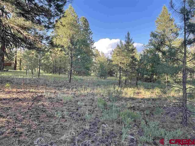 762 Hills Circle Property Photo 1