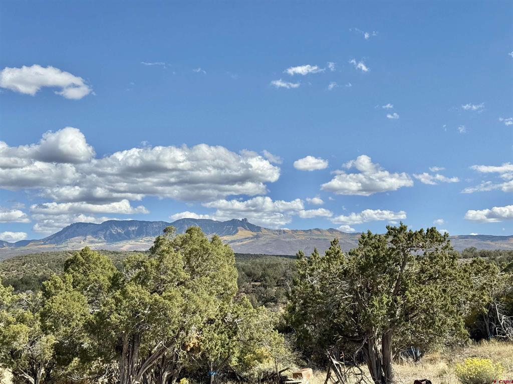 38832 Fruitland Mesa Road Property Photo 37