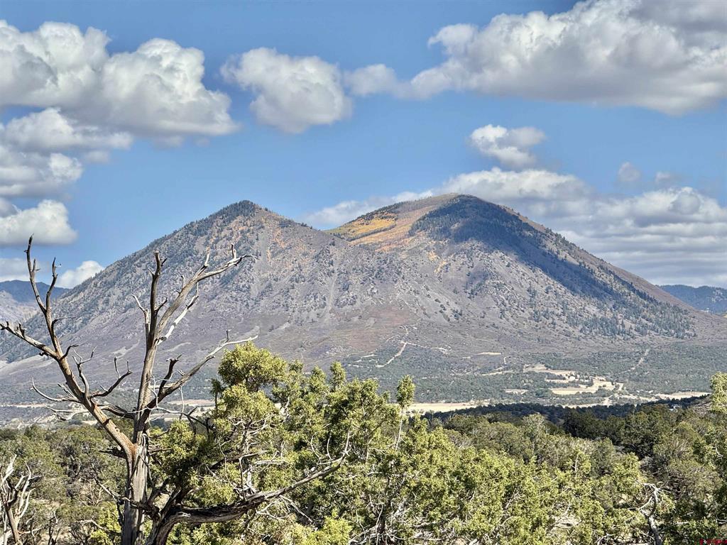 38832 Fruitland Mesa Road Property Photo 41