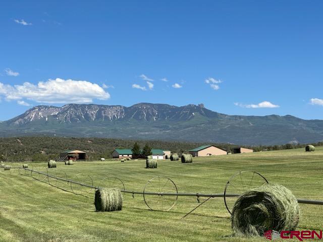 38832 Fruitland Mesa Road Property Photo 42