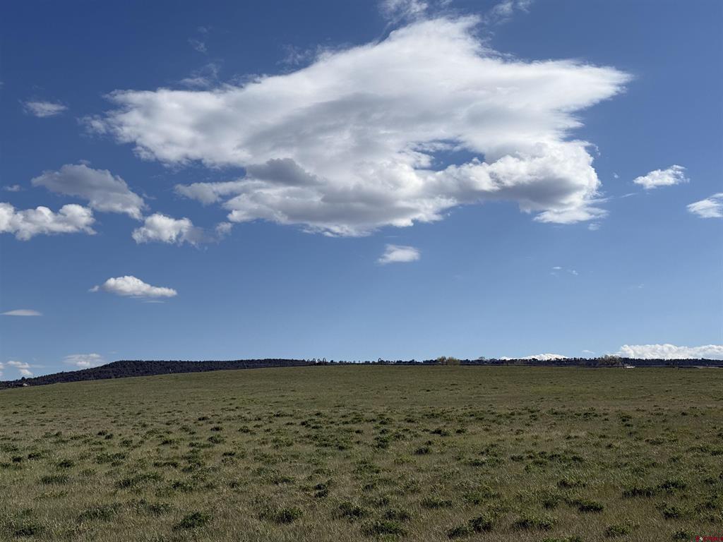 38832 Fruitland Mesa Road Property Photo 44