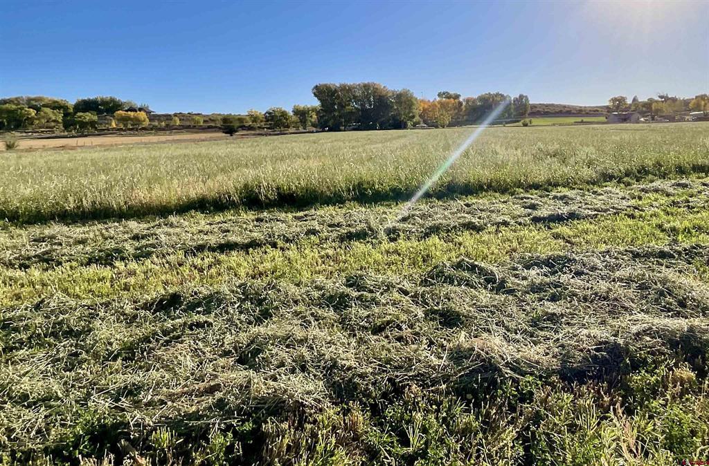 Tbd 5800 Road Property Photo 3