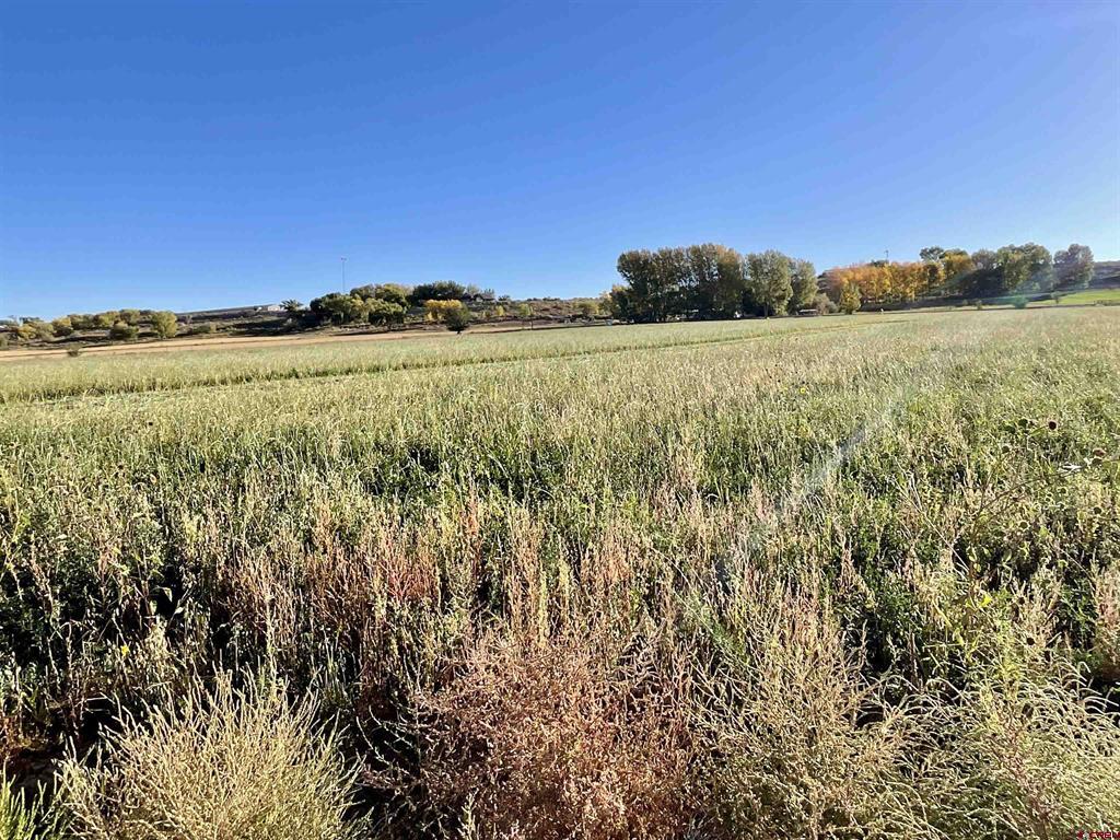 Tbd 5800 Road Property Photo 4