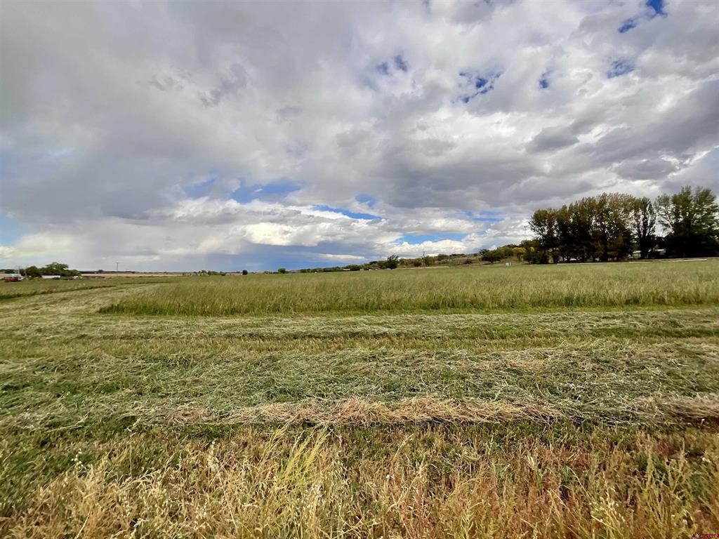 Tbd Inverness Court Property Photo 3