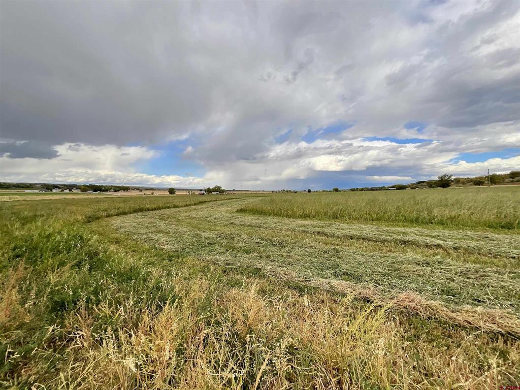 Tbd Inverness Court Property Photo 4