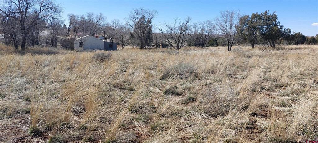 51981 Highway 491 Highway Property Photo 4
