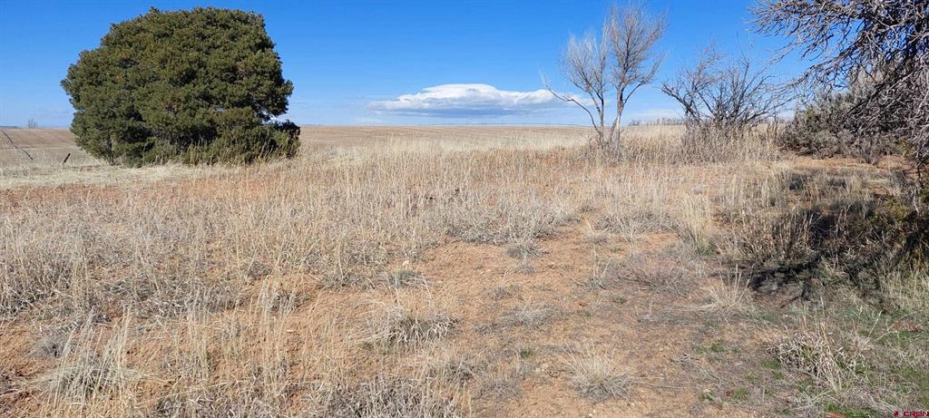 51981 Highway 491 Highway Property Photo 5